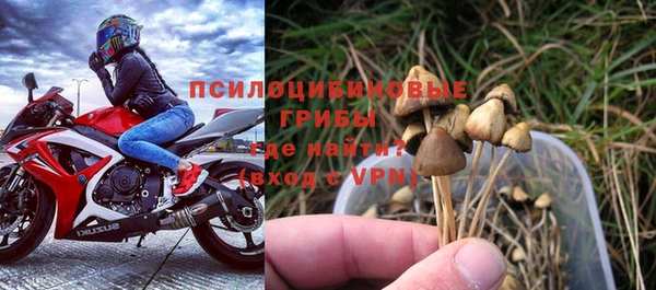 ALPHA PVP Аркадак