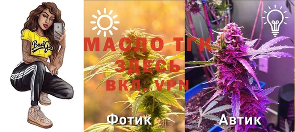 экстази Арсеньев