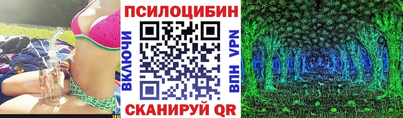 Псилоцибиновые грибы Psilocybe  купить закладку  Салехард 